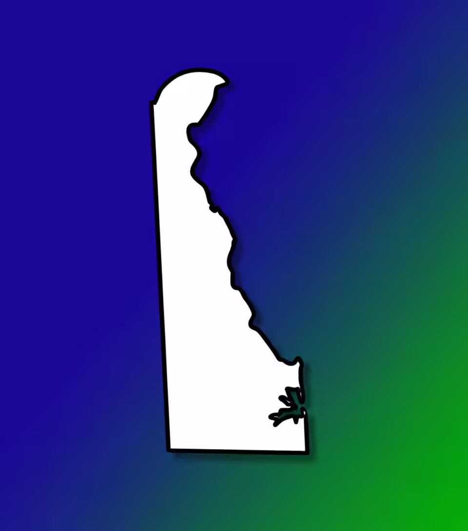 Delaware Medical Billing Practice Overview
