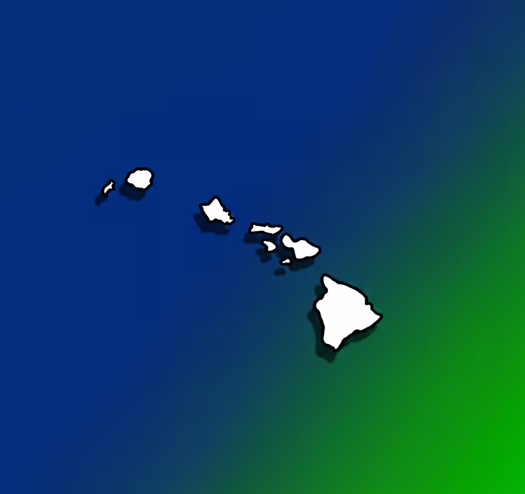 Hawaii Medical Billing Practice Overview