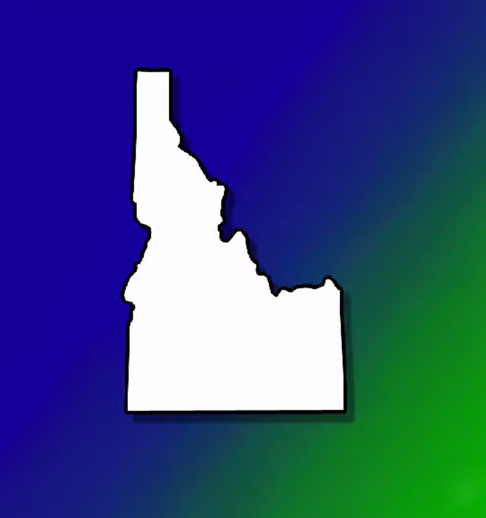 Idaho Medical Billing Practice Overview