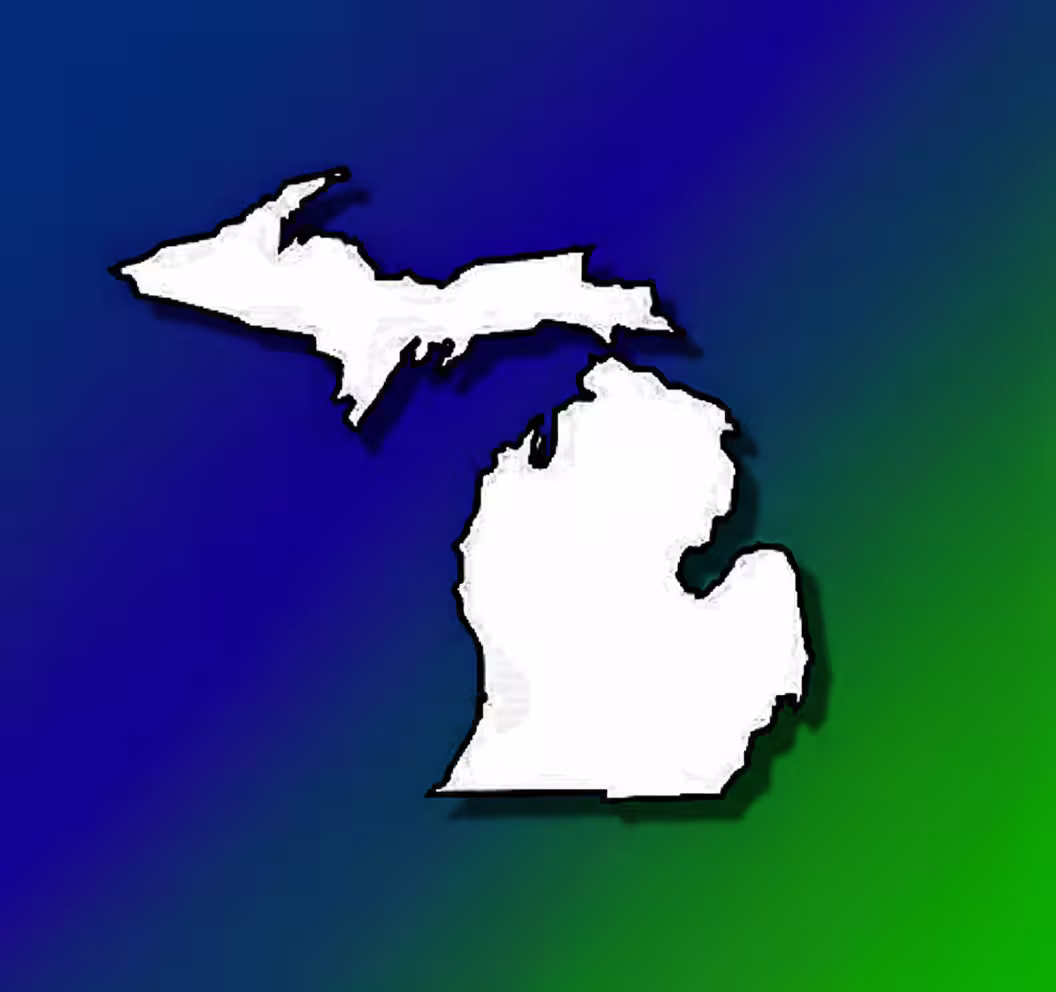 Michigan Medical Billing Practice Overview