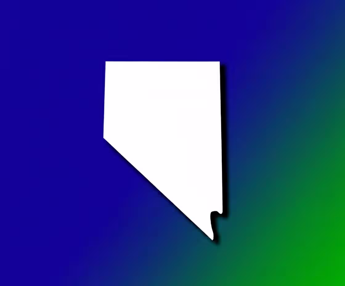 Nevada Medical Billing Practice Overview