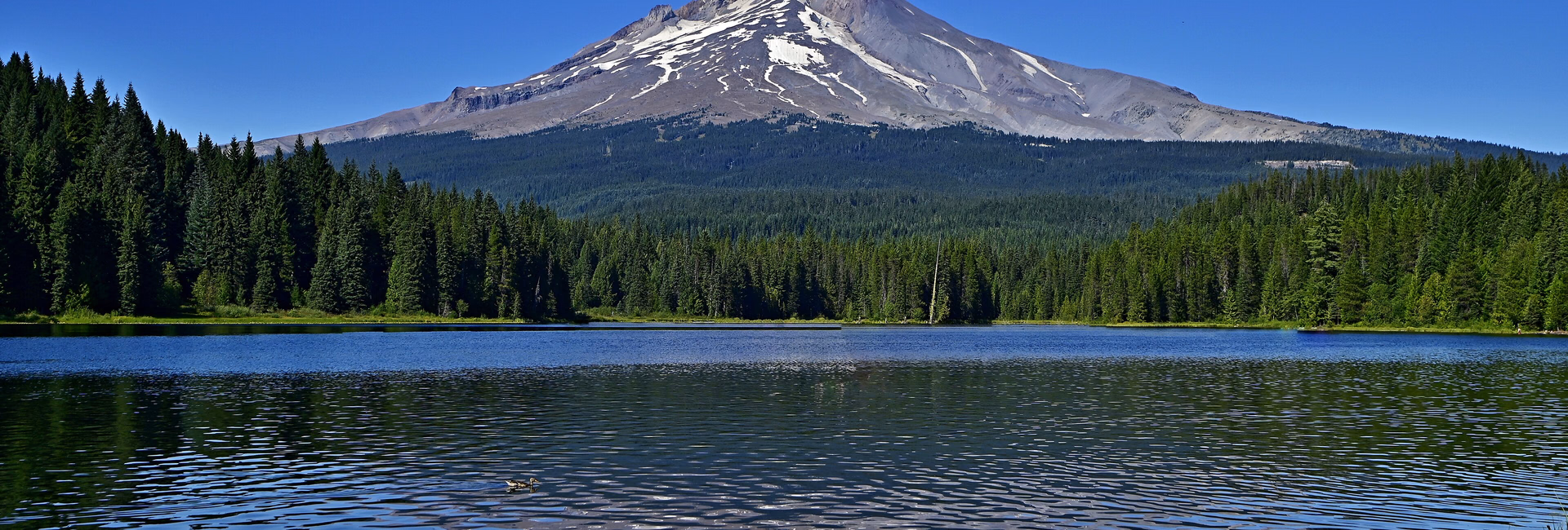 Oregon medical billing and healthcare RCM coverage