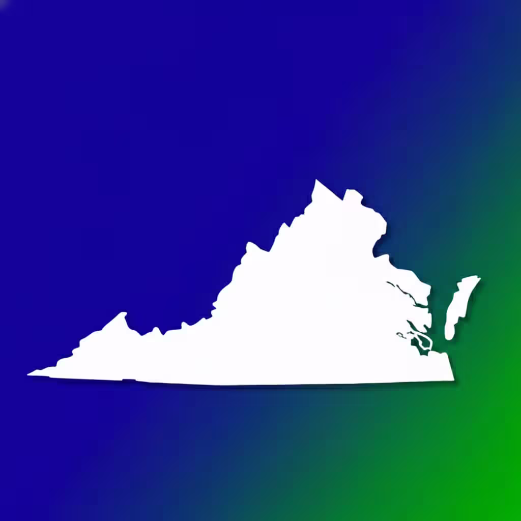 Virginia Medical Billing Practice Overview
