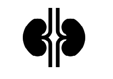 Nephrology
